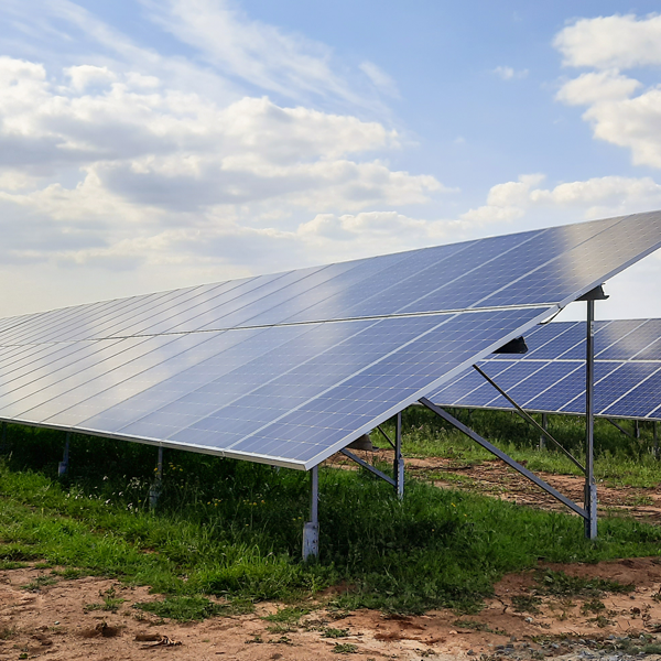 Photovoltaic Plants in Amareleja, Ferreira do Alentejo, Moura, and Lagos